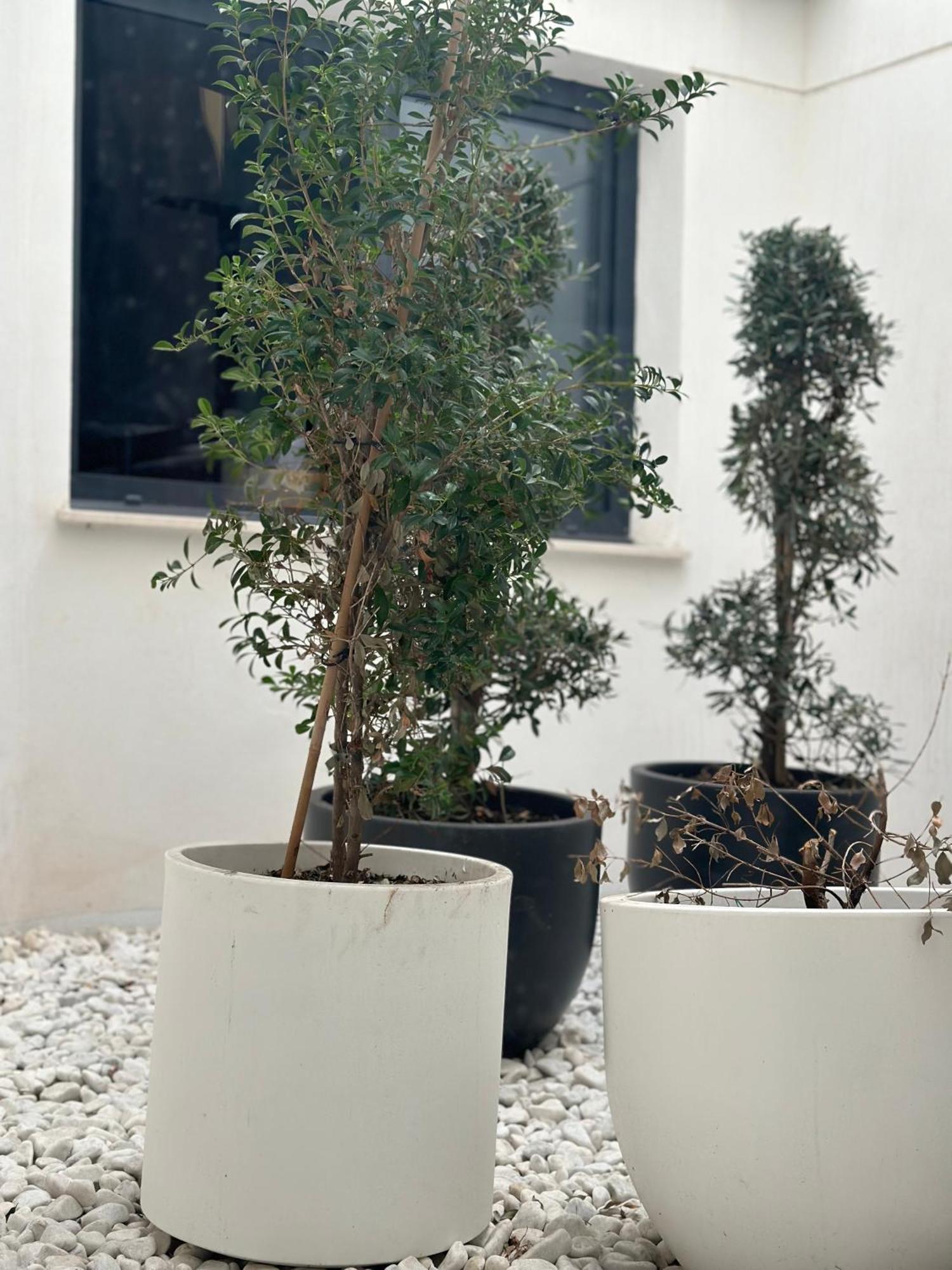 Hostel Alicante A-Cero Living ภายนอก รูปภาพ